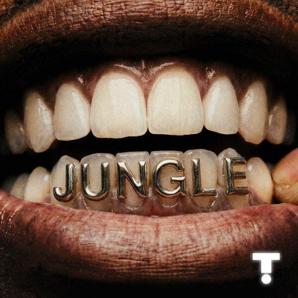 Troyboi "Jungle"